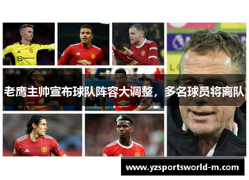 老鹰主帅宣布球队阵容大调整，多名球员将离队