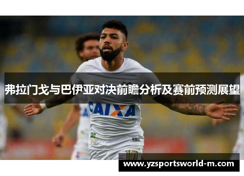 弗拉门戈与巴伊亚对决前瞻分析及赛前预测展望