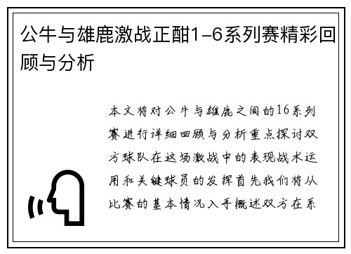 公牛与雄鹿激战正酣1-6系列赛精彩回顾与分析